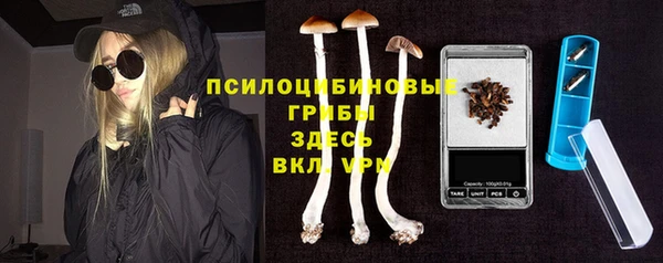 спиды Волоколамск